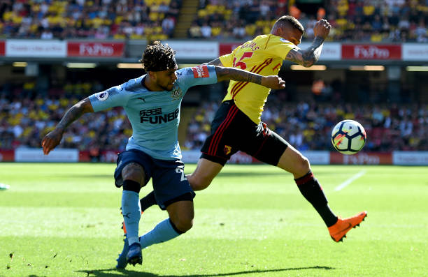 强的表现奠 强的表现奠