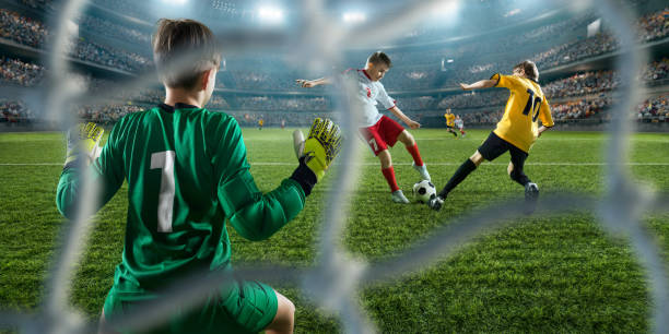 关键的得分 关键的得分