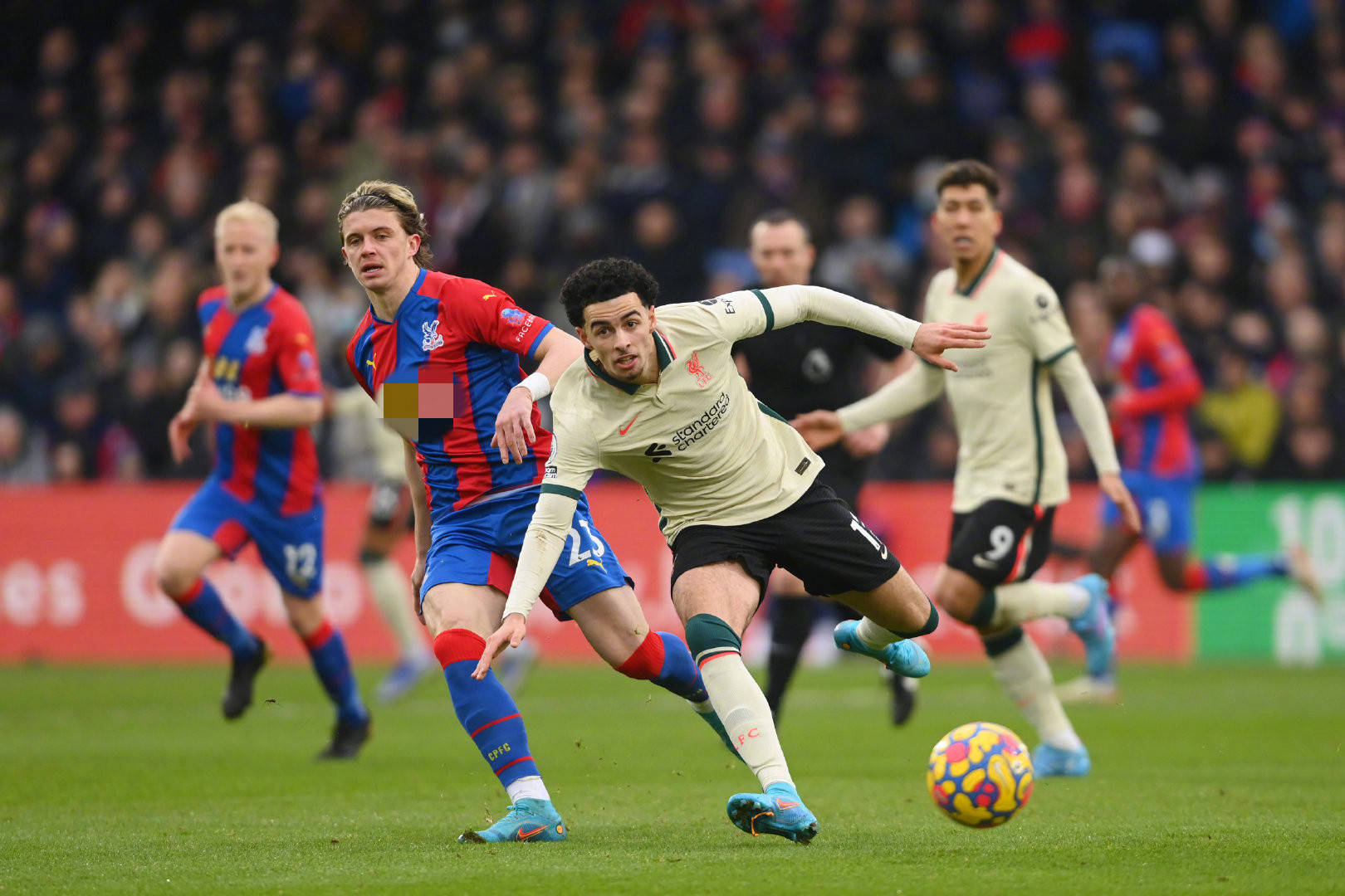 此次德国拉 此次德国拉