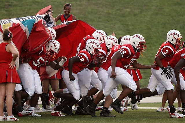 的参考经验 的参考经验